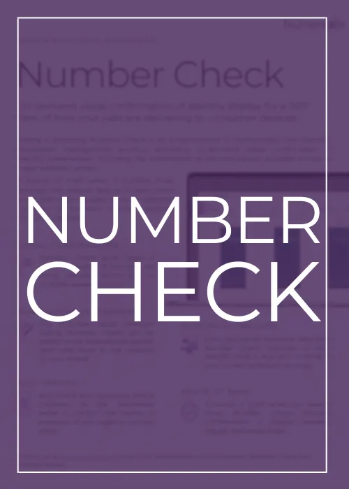 Numeracle's Number Check Handout